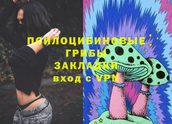 прущий лед Белокуриха