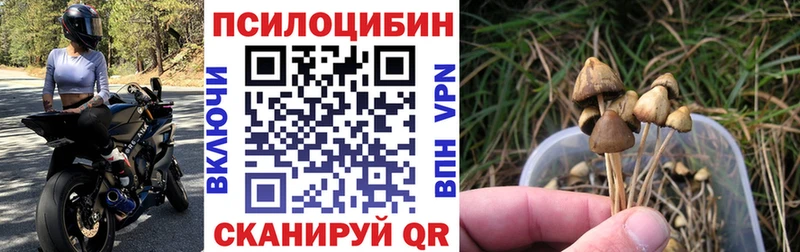 Псилоцибиновые грибы Magic Shrooms  наркотики  блэк спрут ссылки  Бирюсинск 